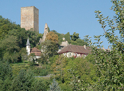 Burg Heinsheim
