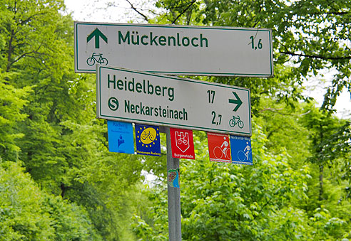 Fähre in Neckarhausen