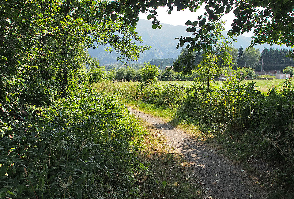 Trail bei Erlendorf