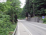 Maggiatal: Der Radweg verläuft neben der Straße
