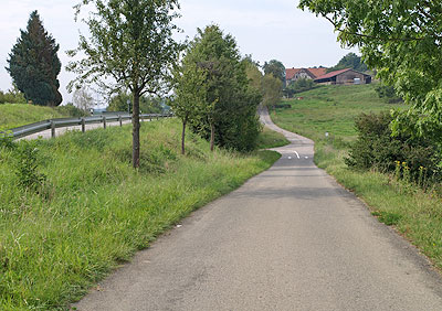 Bodenseeradweg: Der Radweg nach Liggeringen