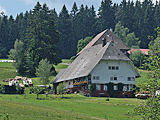 Schwarzwaldhäuser am Berg
