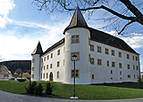 Immendinger Schloss