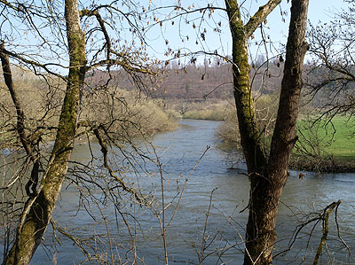 Wilde Donau