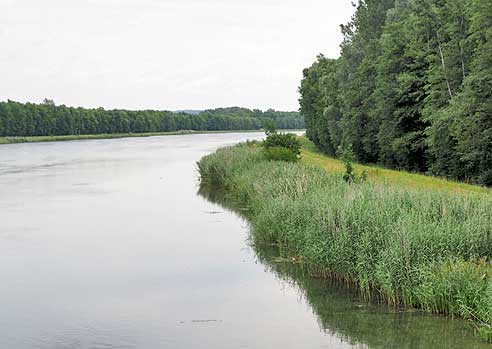 Donau bei Gremheim