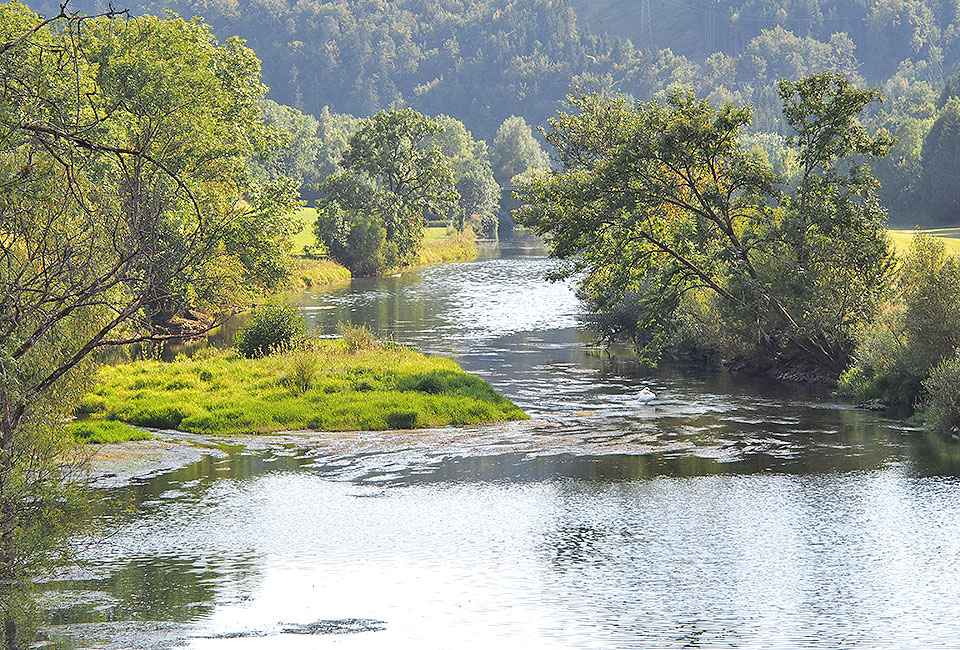 Donau vor Gutenstein