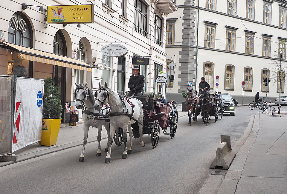 Wien mit Pferdekutschen