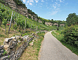 Idyllischer Radweg an den Felswänden entlang der Enz