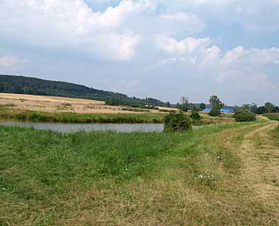 Teich in Grimmschwinden