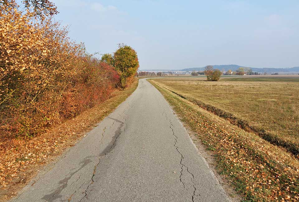 Schöner Radweg im flachen Wörnitztal