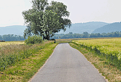 Radweg im Tal