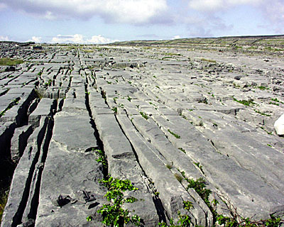 Eiszeitliche Steinwüste
