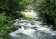 Drr Fluss Glanmore