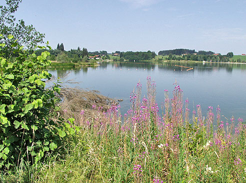 Der Rottachsee