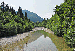 Der Fluss Halblech