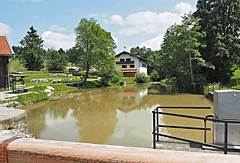 Teich in Altenau