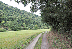 Radweg nach Laurenburg