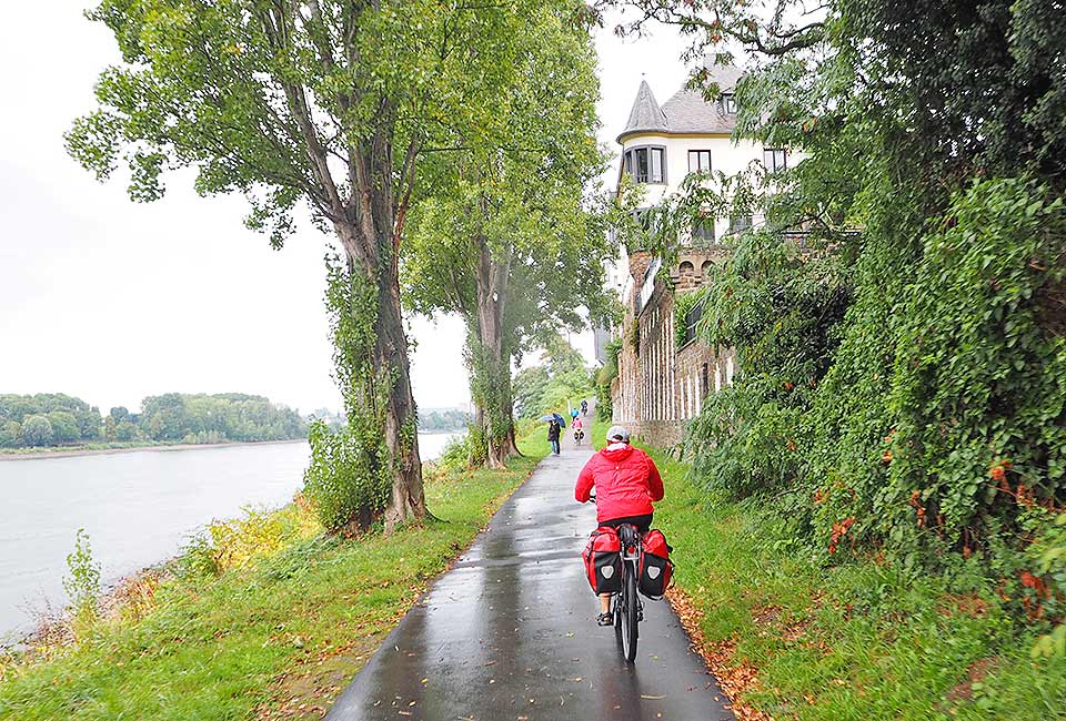 Radweg am Rhein