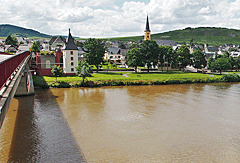 Blick auf Trittenheim