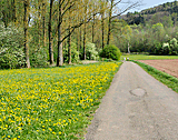 Radweg nach Sulzbach