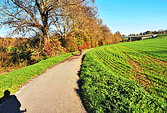 Radweg im Aichtal