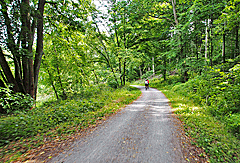 Durch den Wald