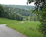 Der Radweg führt in den Wald