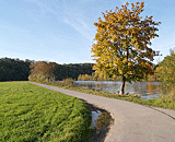 Am Neckarufer