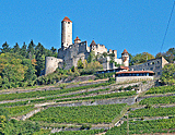 Die Burg Hornberg