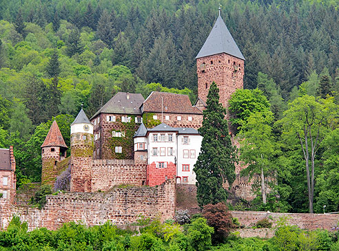 Burg Zwingenberg