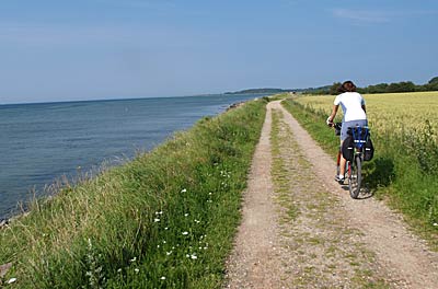 Ostseeküstenradweg: Radweg direkt an der Küste