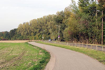 Rheinradweg: Zum Naturschutzgebiet