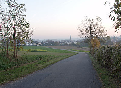 Blick auf Heidelsheim
