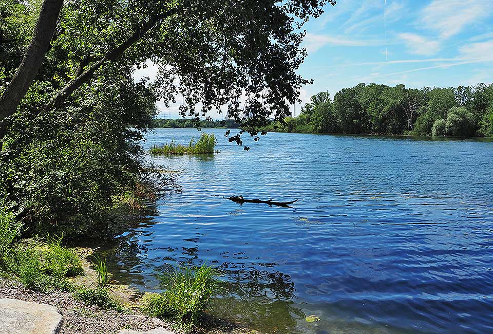 Ruhig liegt der Knielinger See in den Rheinauen