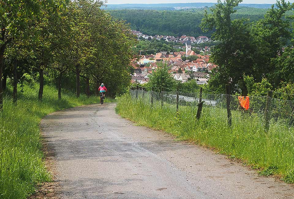 Der Brenztalradweg führt von Königsbronn bis zur Donau