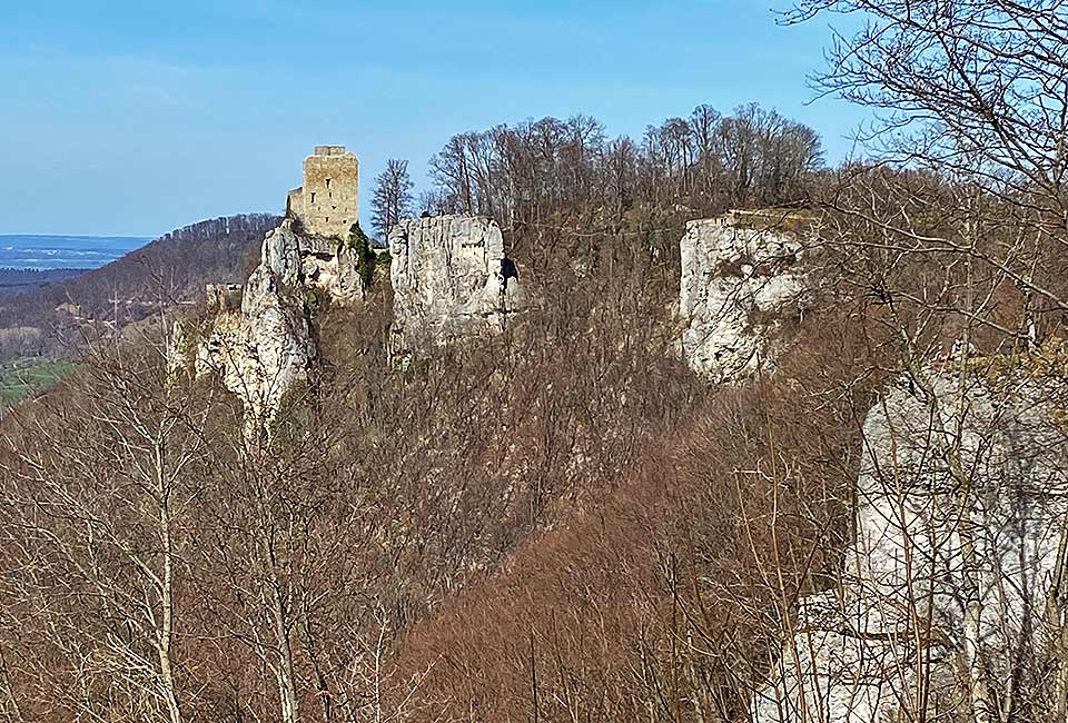 Blick auf die Burgruine Reussenstein