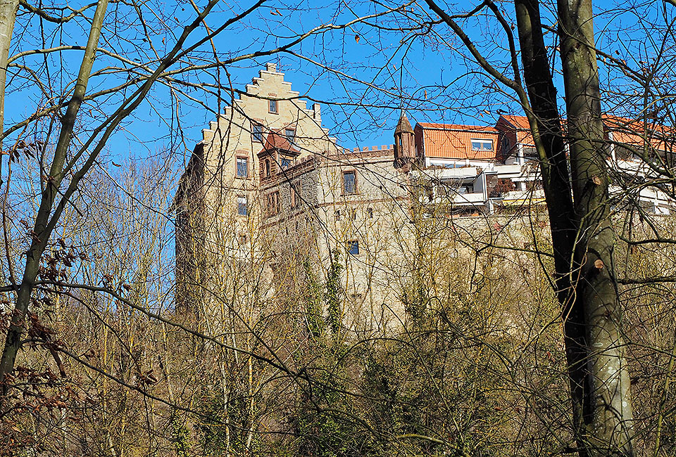 Blick auf Schloss Höfingen
