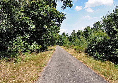 Radweg im Haguenauer Forst
