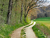 Lonetalradweg