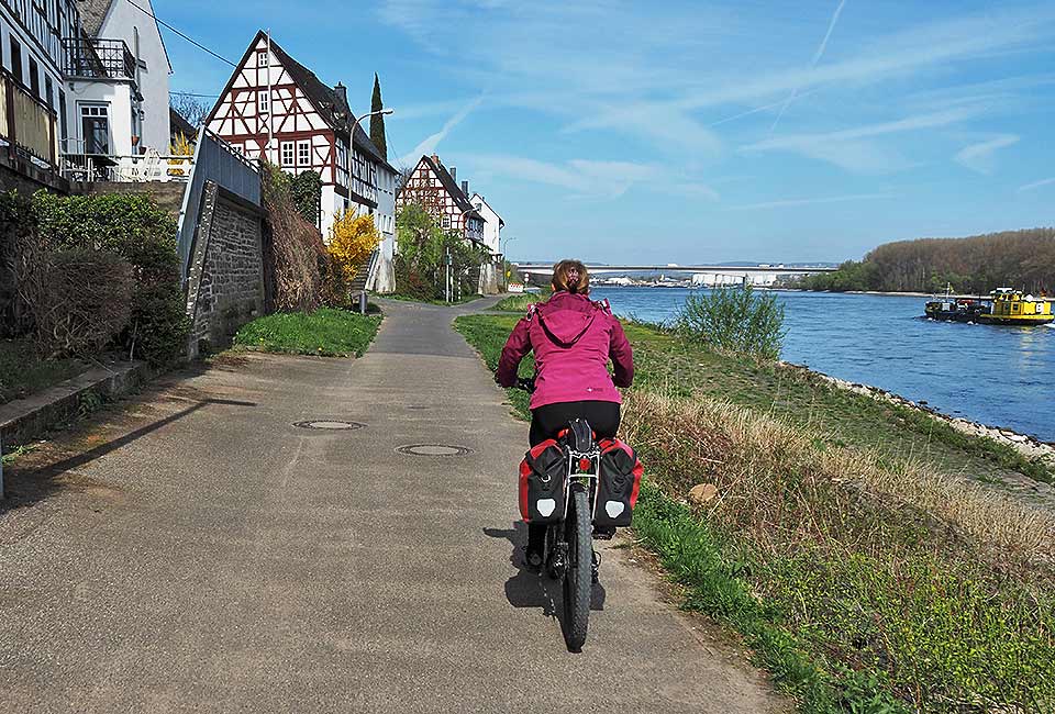 Rheinradweg Koblenz Köln