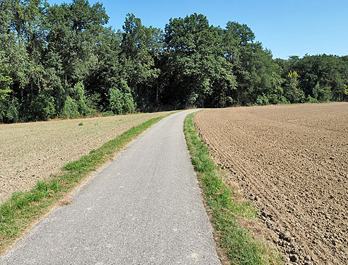 Tauernradweg von Burghausen bis Schärding