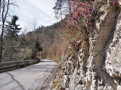 Tauernradweg von Salzburg bis Krimml