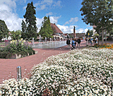 Blühender Marktplatz