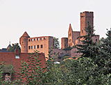 Burg in Wertheim