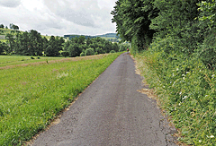 Asphaltierter Radweg